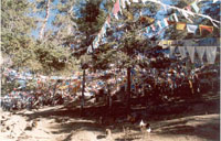Тибетские молитвенные флажки на вершине холма, венчает который монастырь Дабао Си